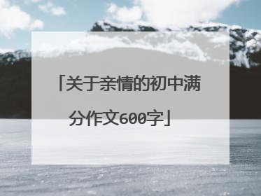 关于亲情的初中满分作文600字