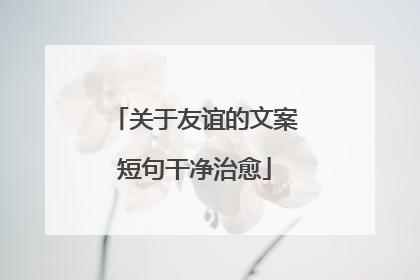 关于友谊的文案短句干净治愈