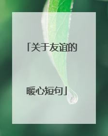 关于友谊的暖心短句