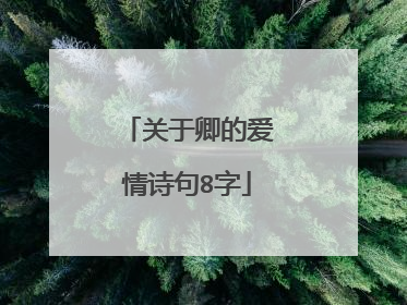 关于卿的爱情诗句8字