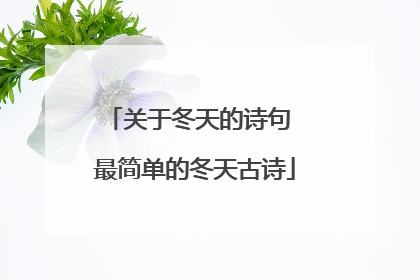 关于冬天的诗句 最简单的冬天古诗