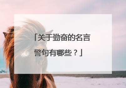 关于勤奋的名言警句有哪些？