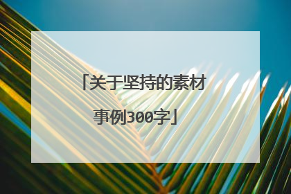 关于坚持的素材事例300字