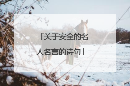 关于安全的名人名言的诗句