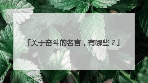 关于奋斗的名言，有哪些？