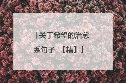 关于希望的治愈系句子 【精】