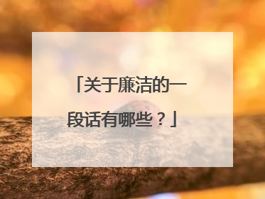 关于廉洁的一段话有哪些？