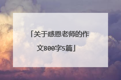 关于感恩老师的作文800字5篇