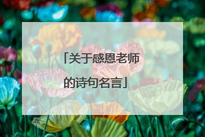 关于感恩老师的诗句名言