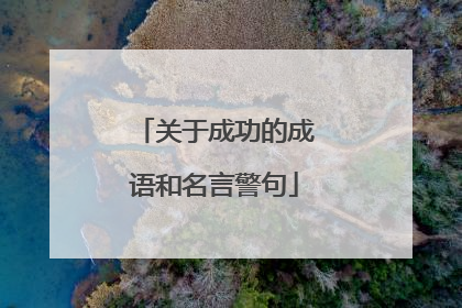 关于成功的成语和名言警句