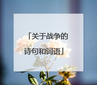 关于战争的诗句和词语