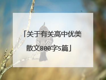 关于有关高中优美散文800字5篇