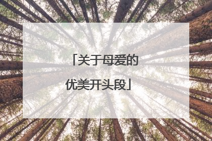 关于母爱的优美开头段