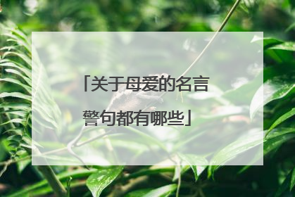 关于母爱的名言警句都有哪些