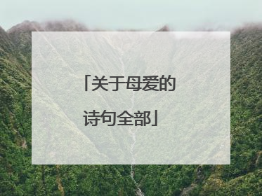 关于母爱的诗句全部