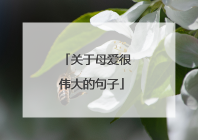 关于母爱很伟大的句子