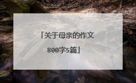 关于母亲的作文800字5篇