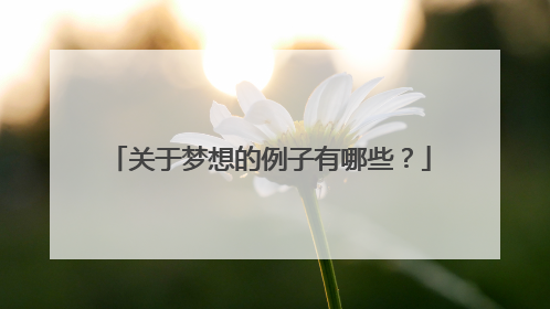 关于梦想的例子有哪些？