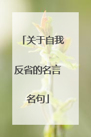 关于自我反省的名言名句