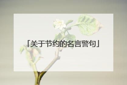 关于节约的名言警句