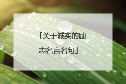 关于诚实的励志名言名句