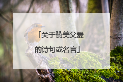 关于赞美父爱的诗句或名言