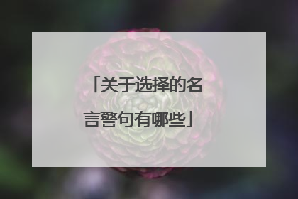 关于选择的名言警句有哪些