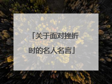 关于面对挫折时的名人名言