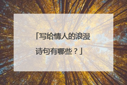 写给情人的浪漫诗句有哪些？