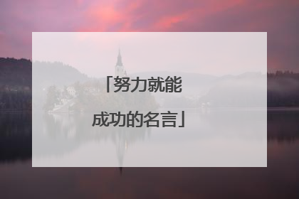 努力就能 成功的名言