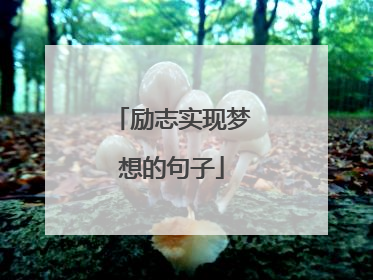 励志实现梦想的句子