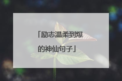 励志温柔到爆的神仙句子