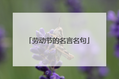 劳动节的名言名句