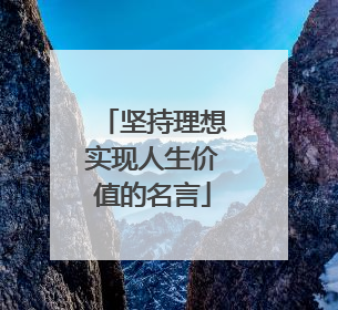 坚持理想实现人生价值的名言