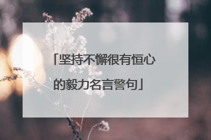 坚持不懈很有恒心的毅力名言警句