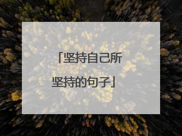 坚持自己所坚持的句子