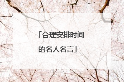 合理安排时间的名人名言