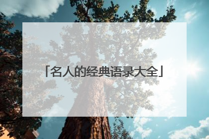 名人的经典语录大全