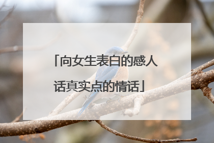 向女生表白的感人话真实点的情话