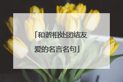 和谐相处团结友爱的名言名句