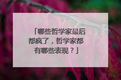 哪些哲学家最后都疯了，哲学家都有哪些表现？