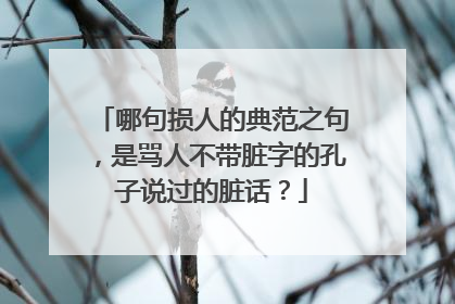 哪句损人的典范之句，是骂人不带脏字的孔子说过的脏话？