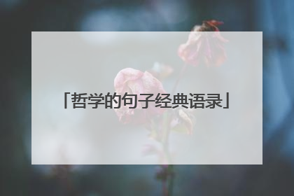 哲学的句子经典语录