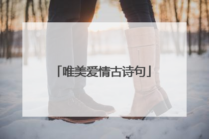 唯美爱情古诗句