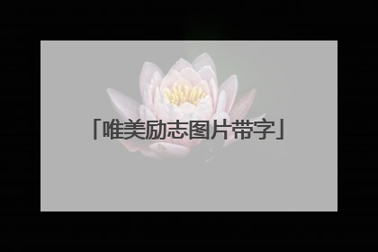 唯美励志图片带字