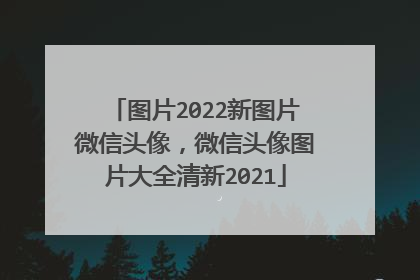 图片2022新图片微信头像，微信头像图片大全清新2021