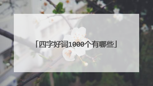 四字好词1000个有哪些