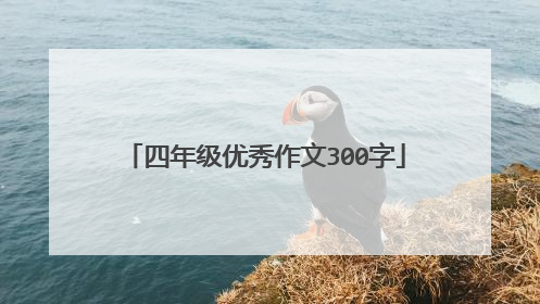 四年级优秀作文300字