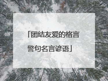 团结友爱的格言警句名言谚语