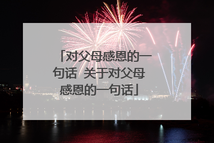 对父母感恩的一句话 关于对父母感恩的一句话